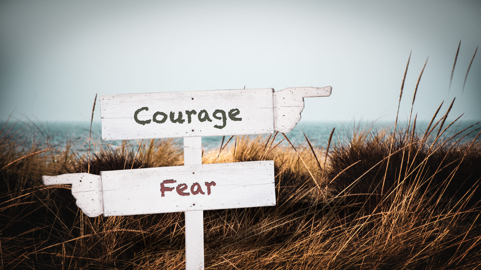 fear or courage