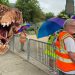 Lititz Pride Fest, Dinosaurs, and a New Cell Phone Law